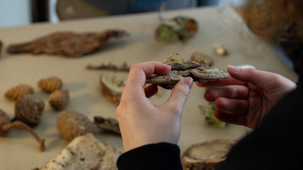 Workshop, Pilzseminar, kunst-Natur-Retreat, kreativer Naturworkshop