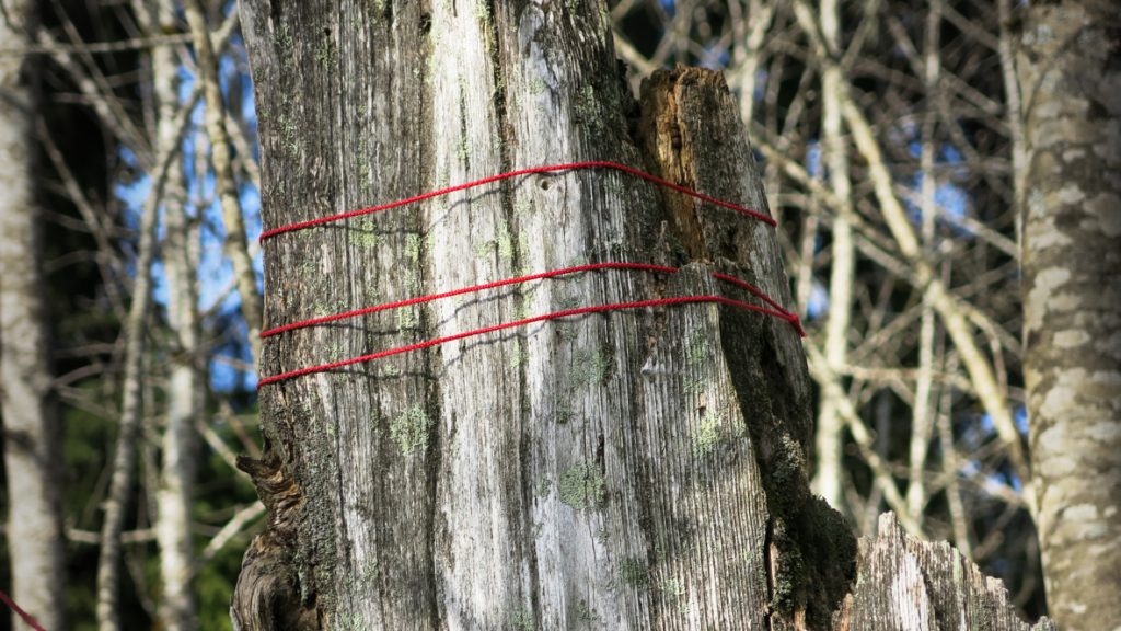 Goldau, Land Art, EcoArt